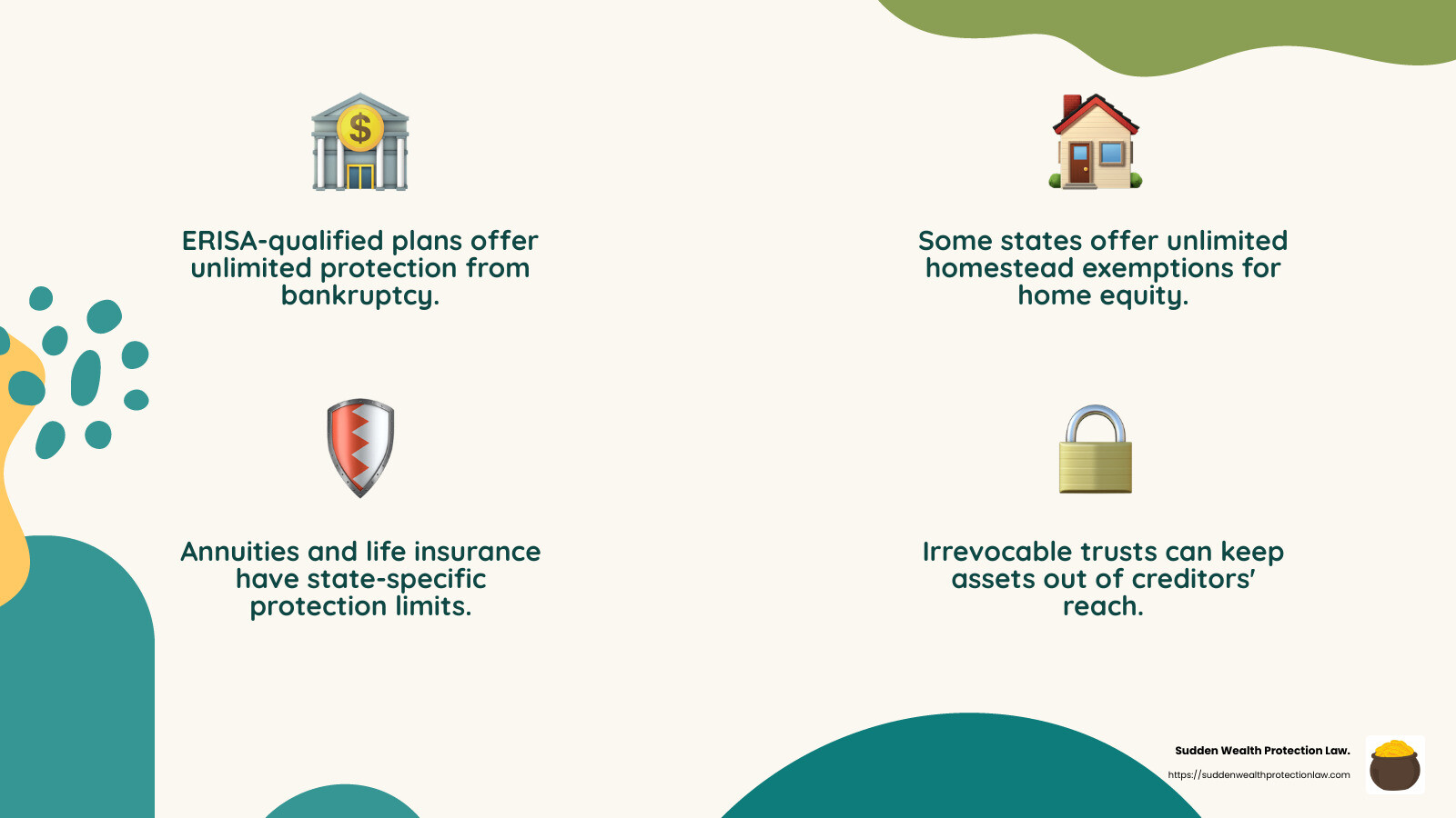 Asset protection strategies infographic - protect your assets infographic 4_facts_emoji_nature