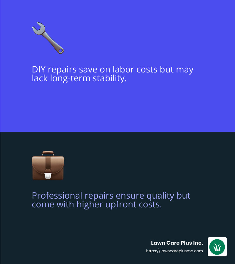 Professional repair ensures quality and long-lasting solutions. - cement driveway repair infographic 2_facts_emoji_blue