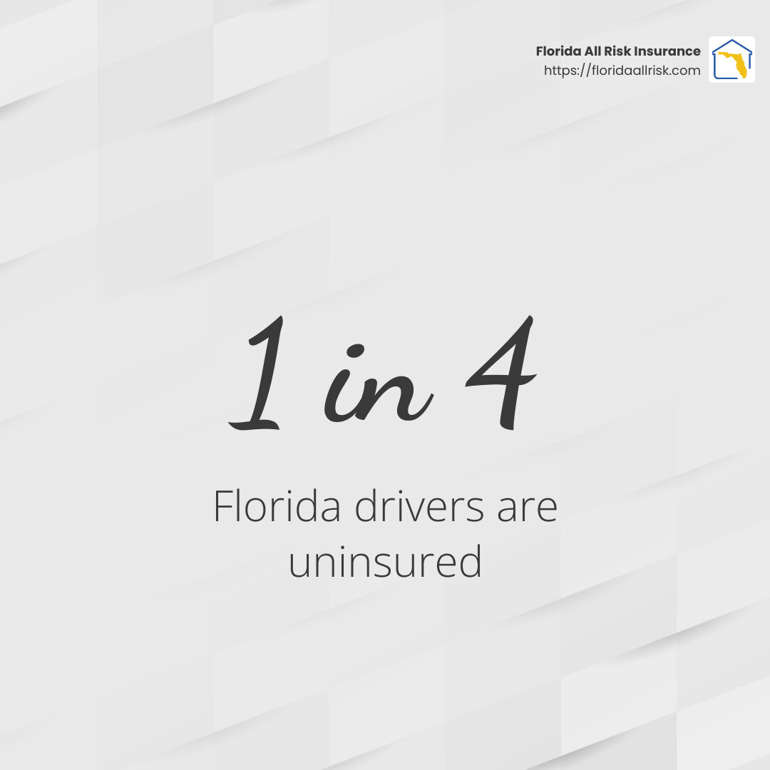 1 in 4 Florida drivers are uninsured - Uninsured motorist coverage Florida infographic simple-stat-light
