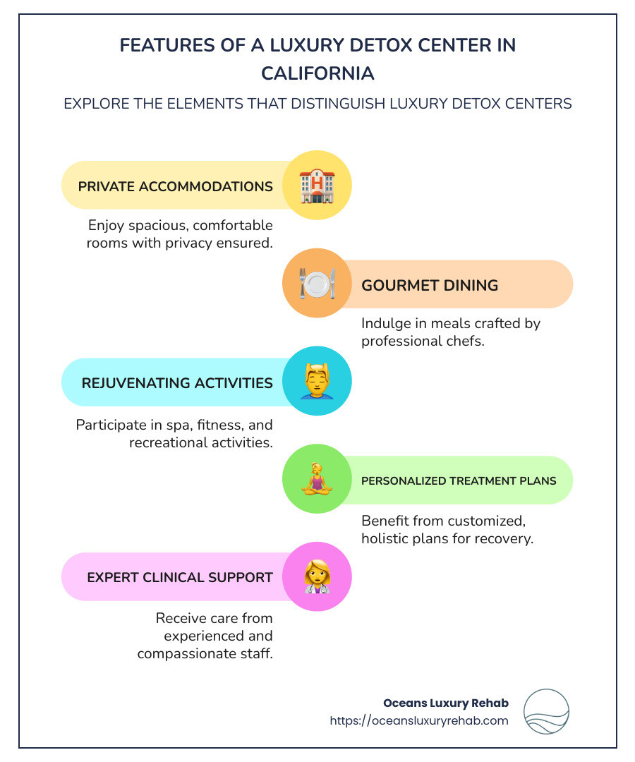 Infographic about Luxury Detox Center California services and amenities - Luxury detox center California infographic infographic-line-5-steps-colors