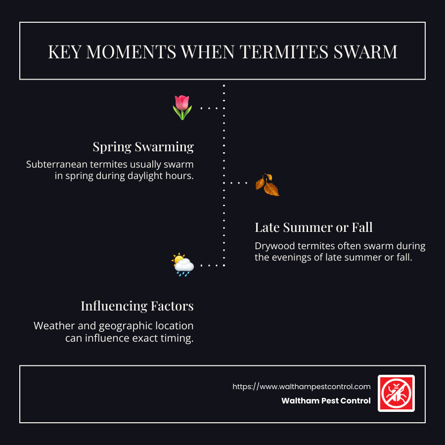 Termite Swarming Lifecycle Infographic - when do termites swarm infographic infographic-line-3-steps-dark