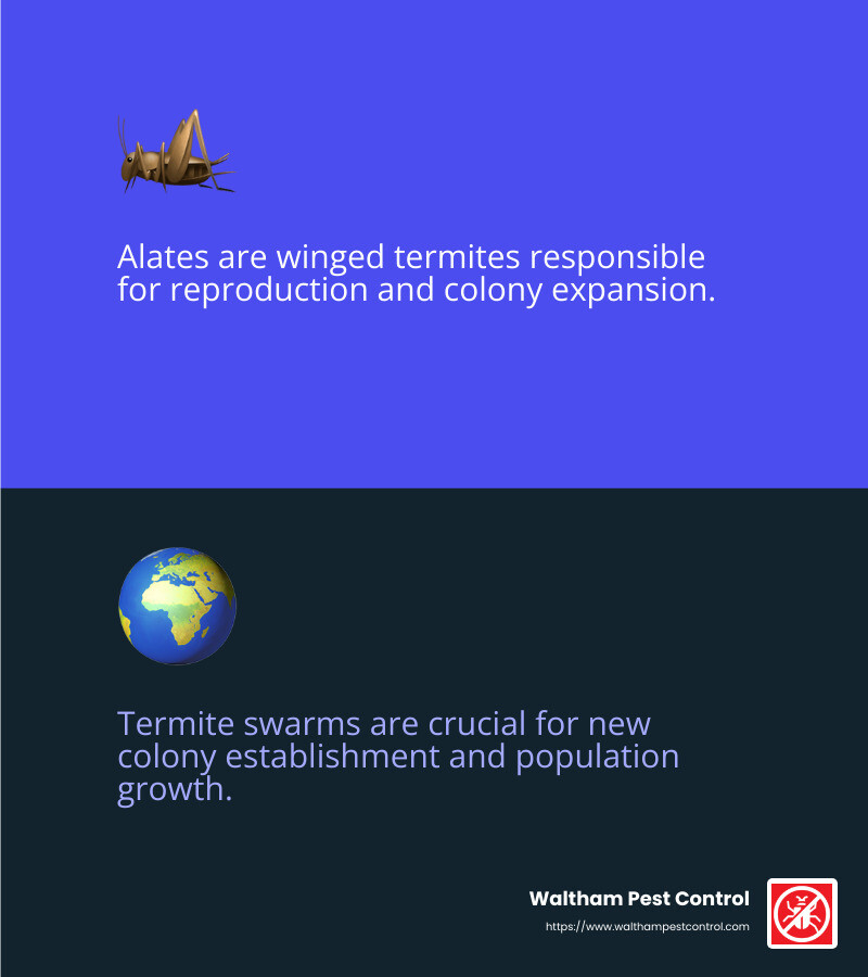 Alates are winged termites responsible for reproduction and colony expansion. - when do termites swarm infographic 2_facts_emoji_blue