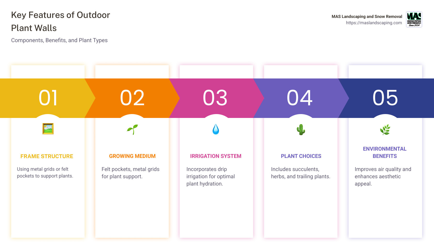 Infographic of key features of outdoor plant walls, showing components, types of plants, and benefits in a visually engaging way - outdoor plant wall infographic pillar-5-steps