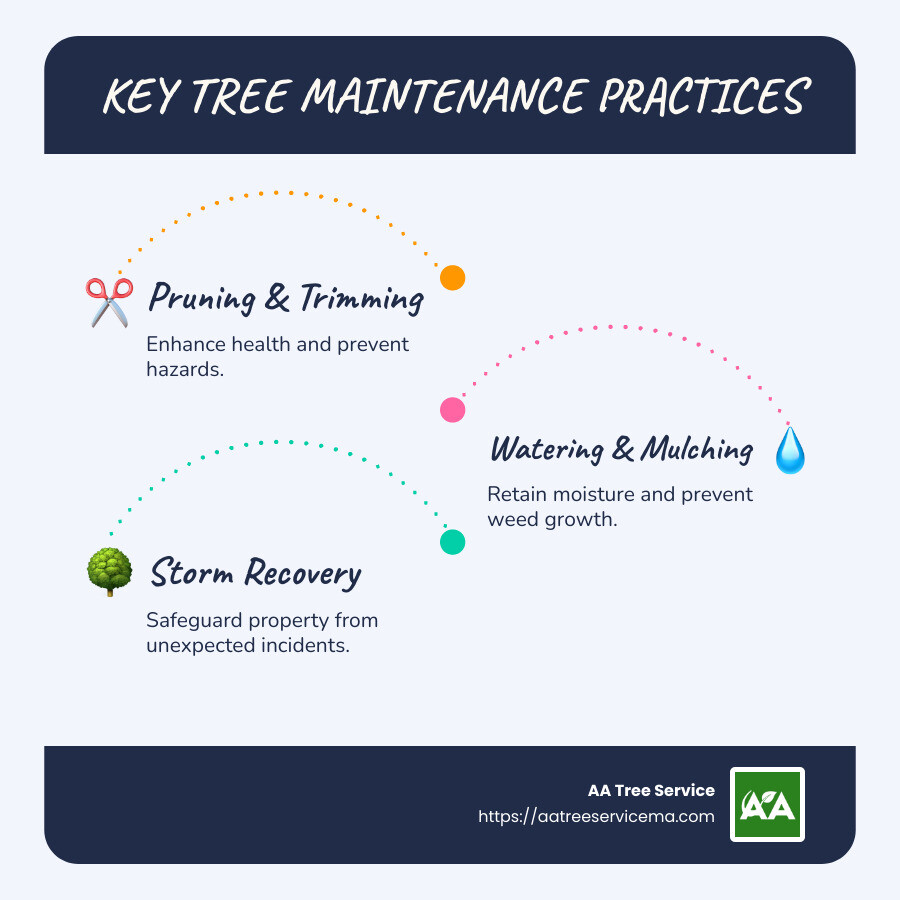 Illustration of tree maintenance services steps: pruning, watering, mulching, storm damage recovery, with arrows connecting the concepts - tree maintenance services infographic infographic-line-3-steps-blues-accent_colors