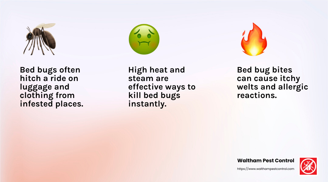 Bed bug bites can cause itchy welts and allergic reactions. - bedbugs on mattress infographic 3_facts_emoji_light-gradient