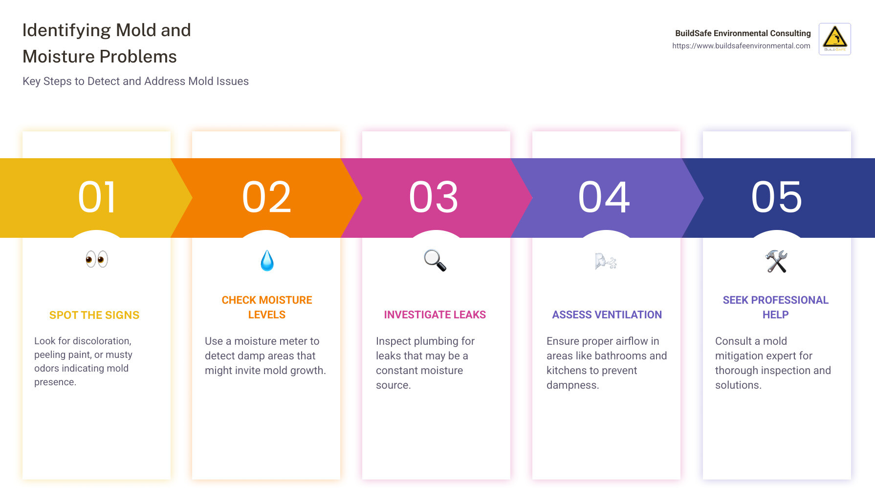 infographic detailing steps for identifying mold and moisture problems - mold mitigation near me infographic pillar-5-steps