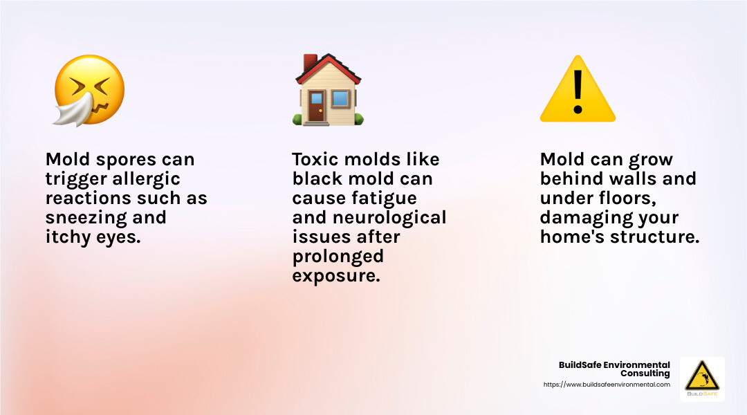 Mold Allergens and Health Risks - mold mitigation near me infographic 3_facts_emoji_light-gradient