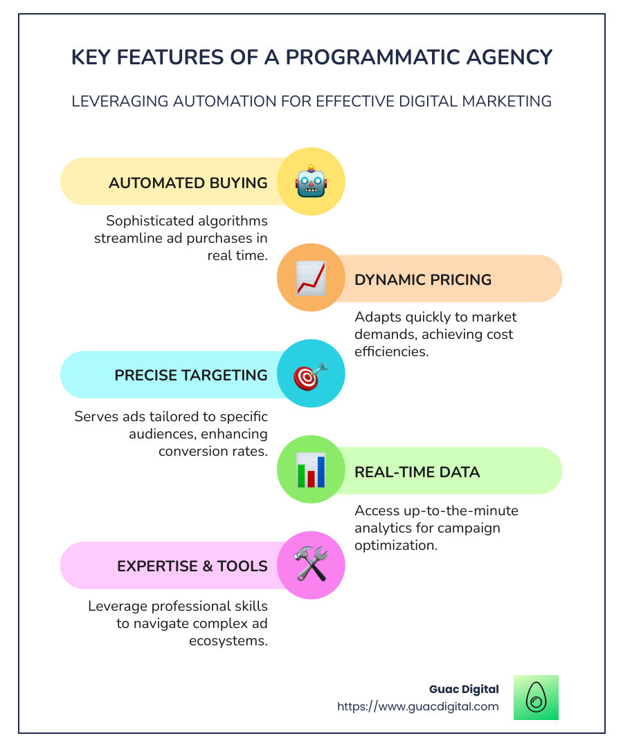 Key Features of a Programmatic Agency - programmatic agency infographic infographic-line-5-steps-colors
