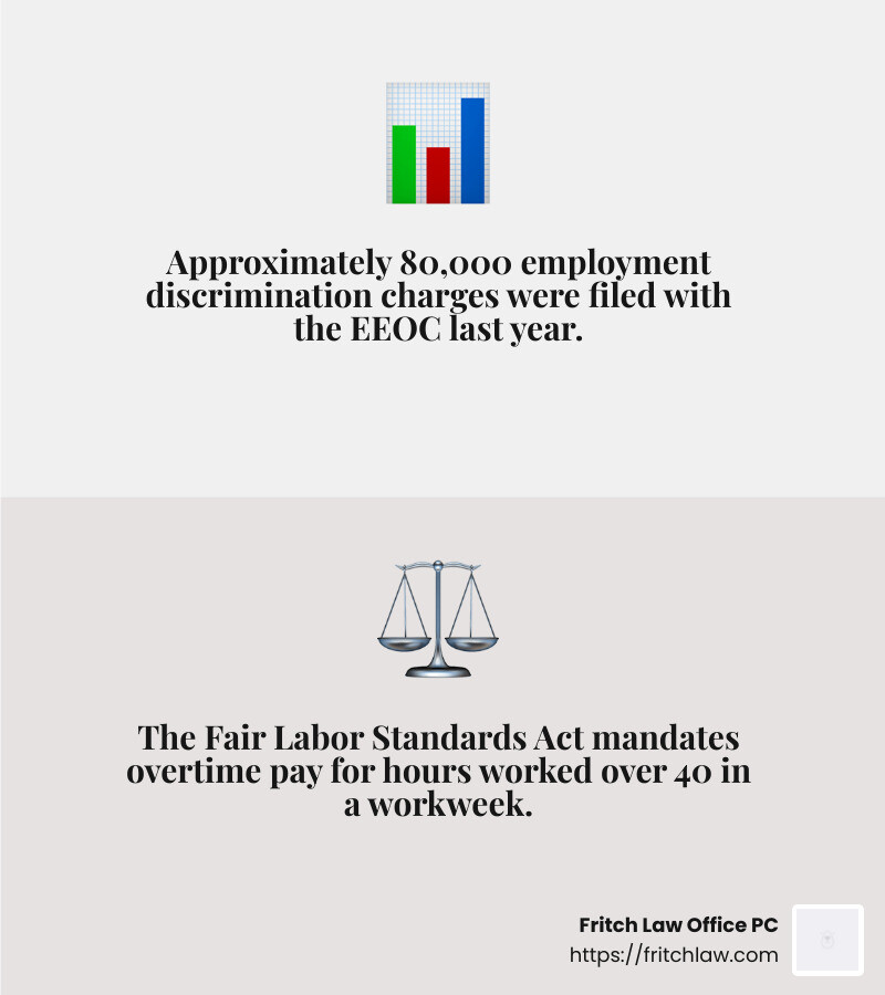 80,000 employment discrimination charges were filed last year - free employment law advice infographic 2_facts_emoji_grey