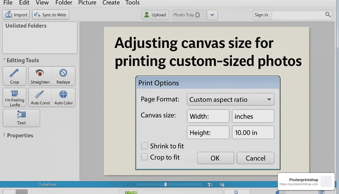 adjusting canvas size in Picasa 3 - how to print custom sized photo in picasa 3
