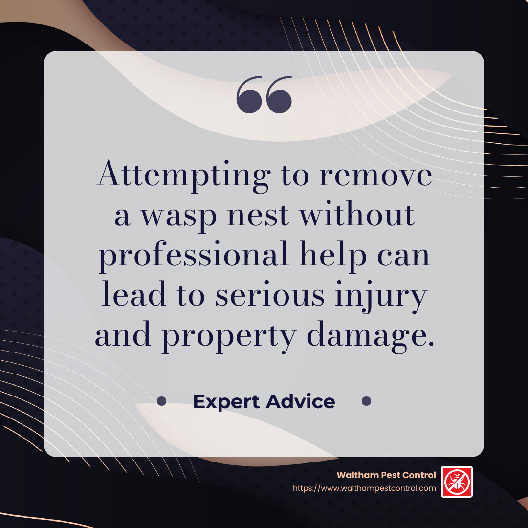 Quote stating "Attempting to remove a wasp nest without professional help can lead to serious injury and property damage." - how to get rid of wasp nests infographic simple-quote-dark