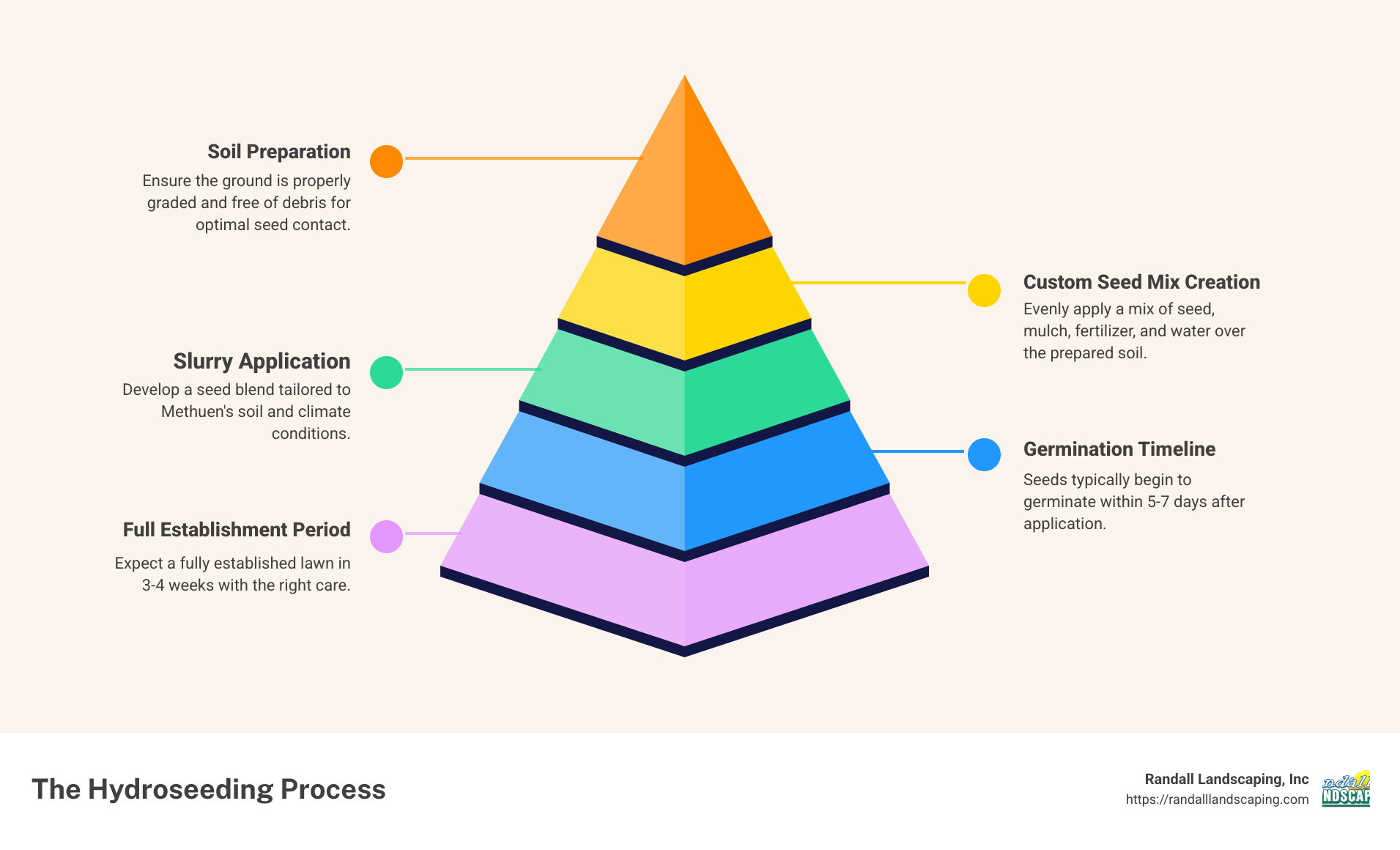 Detailed infographic showing the hydroseeding process steps: soil preparation, custom seed mix creation, slurry application, germination timeline (5-7 days), and full establishment period (3-4 weeks), with cost comparison to sod installation - hydroseeding methuen ma infographic pyramid-hierarchy-5-steps