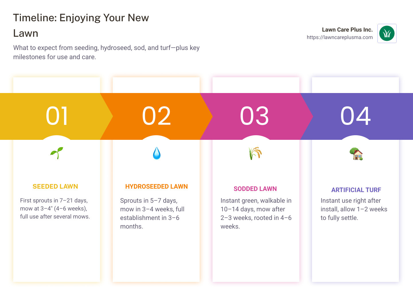 Watering schedule for new grass showing decreasing frequency over weeks - cost for new grass infographic pillar-4-steps