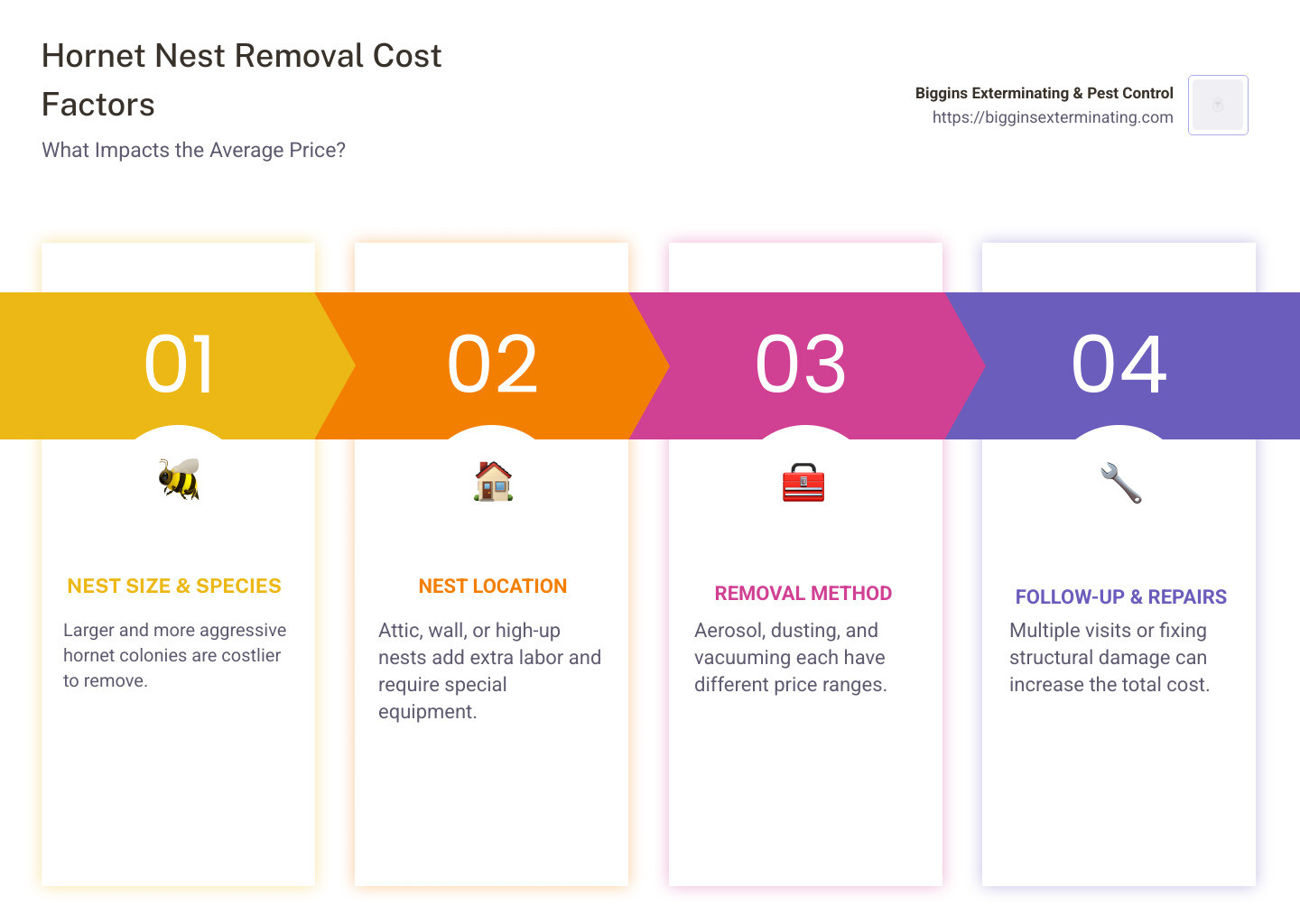 Detailed breakdown of hornet nest removal costs by location, species, and removal method showing attic removal costs $325-450, wall removal $350-875, aerosol treatments starting at $125, dusting at $200, and vacuuming at $250 - average cost to remove hornets nest infographic pillar-4-steps