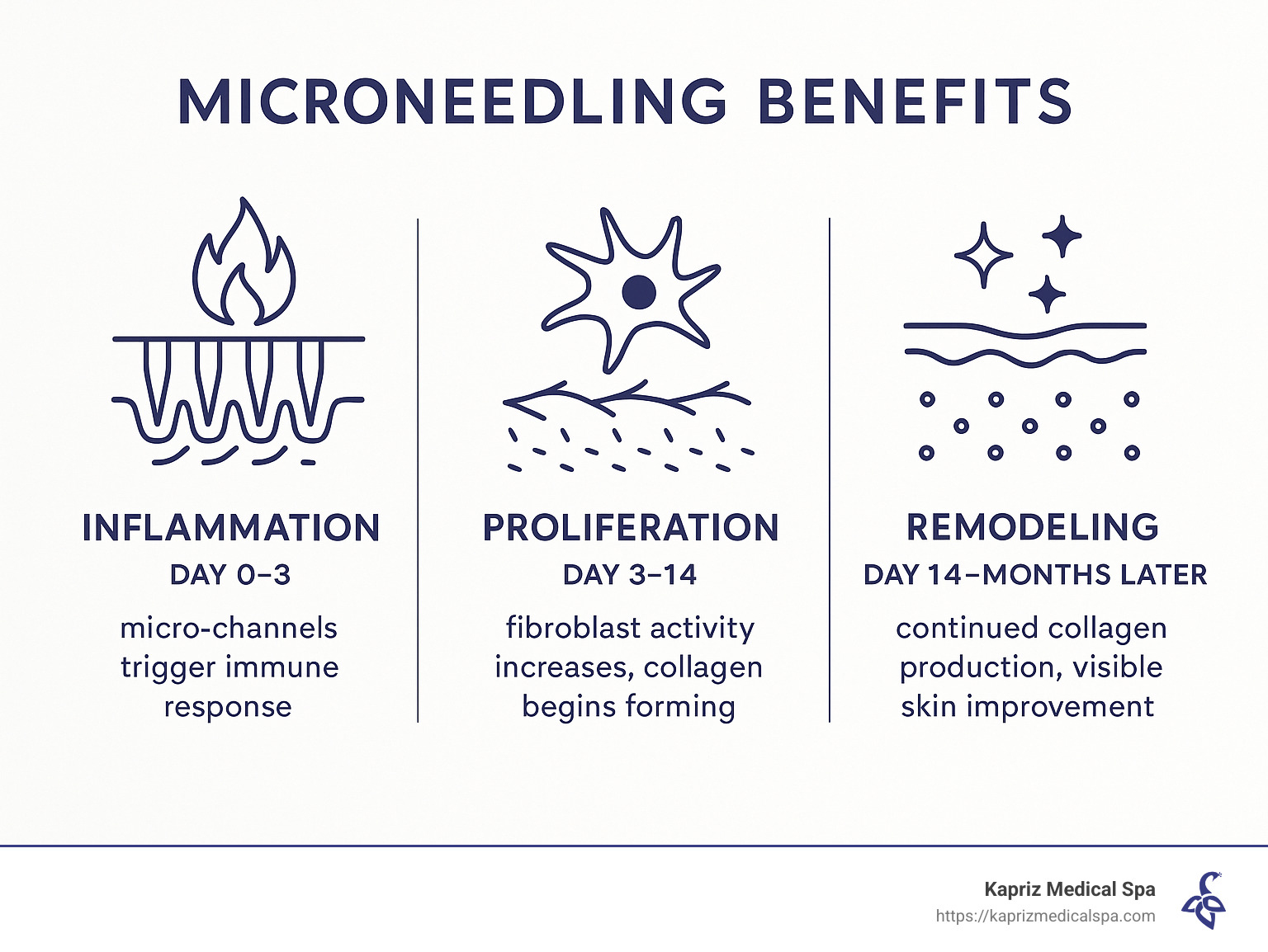 Microneedling Benefits Process showing the three phases: 1) Inflammation (day 0-3): micro-channels trigger immune response, 2) Proliferation (day 3-14): fibroblast activity increases, collagen begins forming, 3) Remodeling (day 14-months later): continued collagen production, visible skin improvement - microneedling benefits jacksonville fl infographic