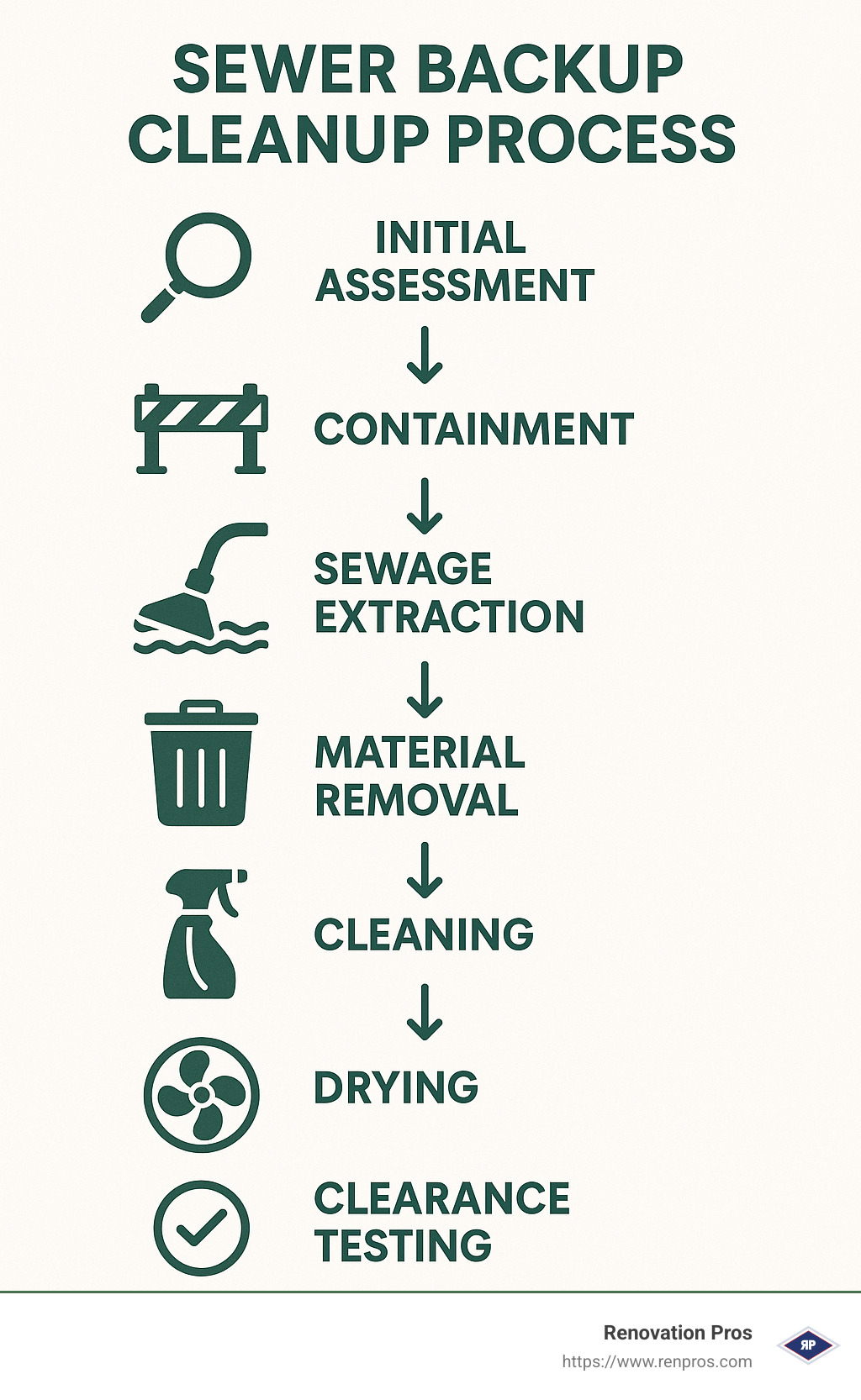 Cleanup process stages from assessment to clearance testing - sewer backup cleanup temecula infographic