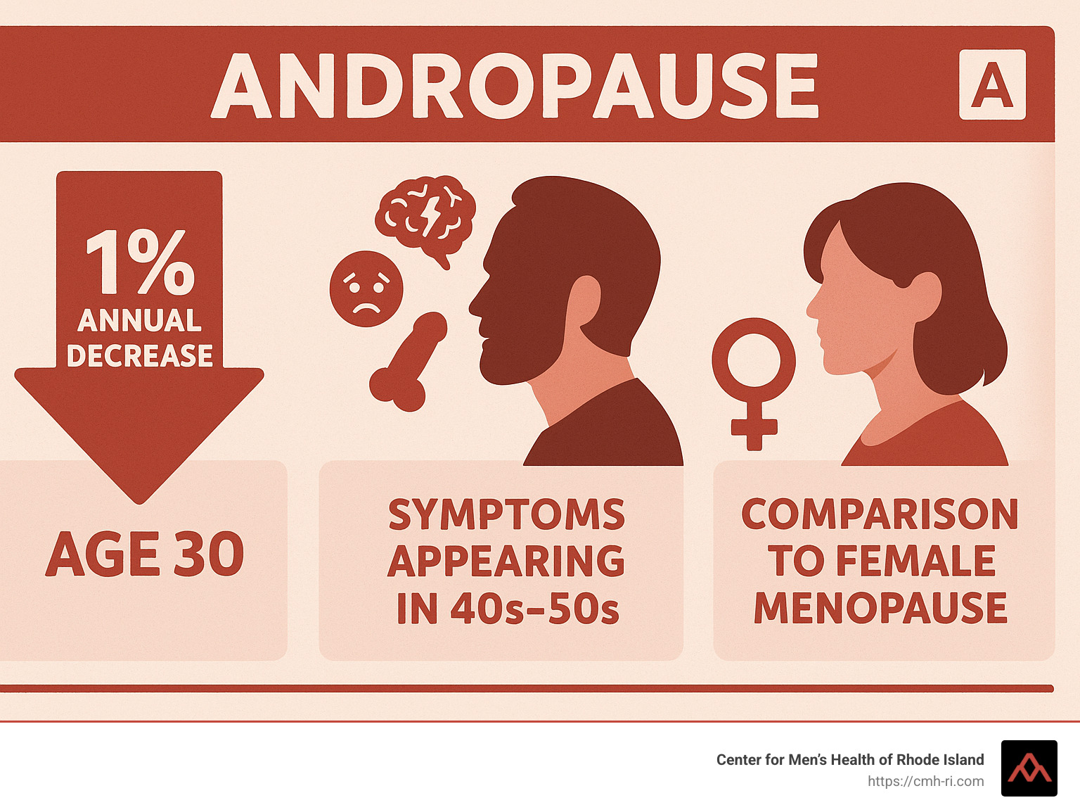 Testosterone decline chart showing 1% annual decrease starting at age 30, with symptoms appearing in 40s-50s and comparison to female menopause - andropause infographic 