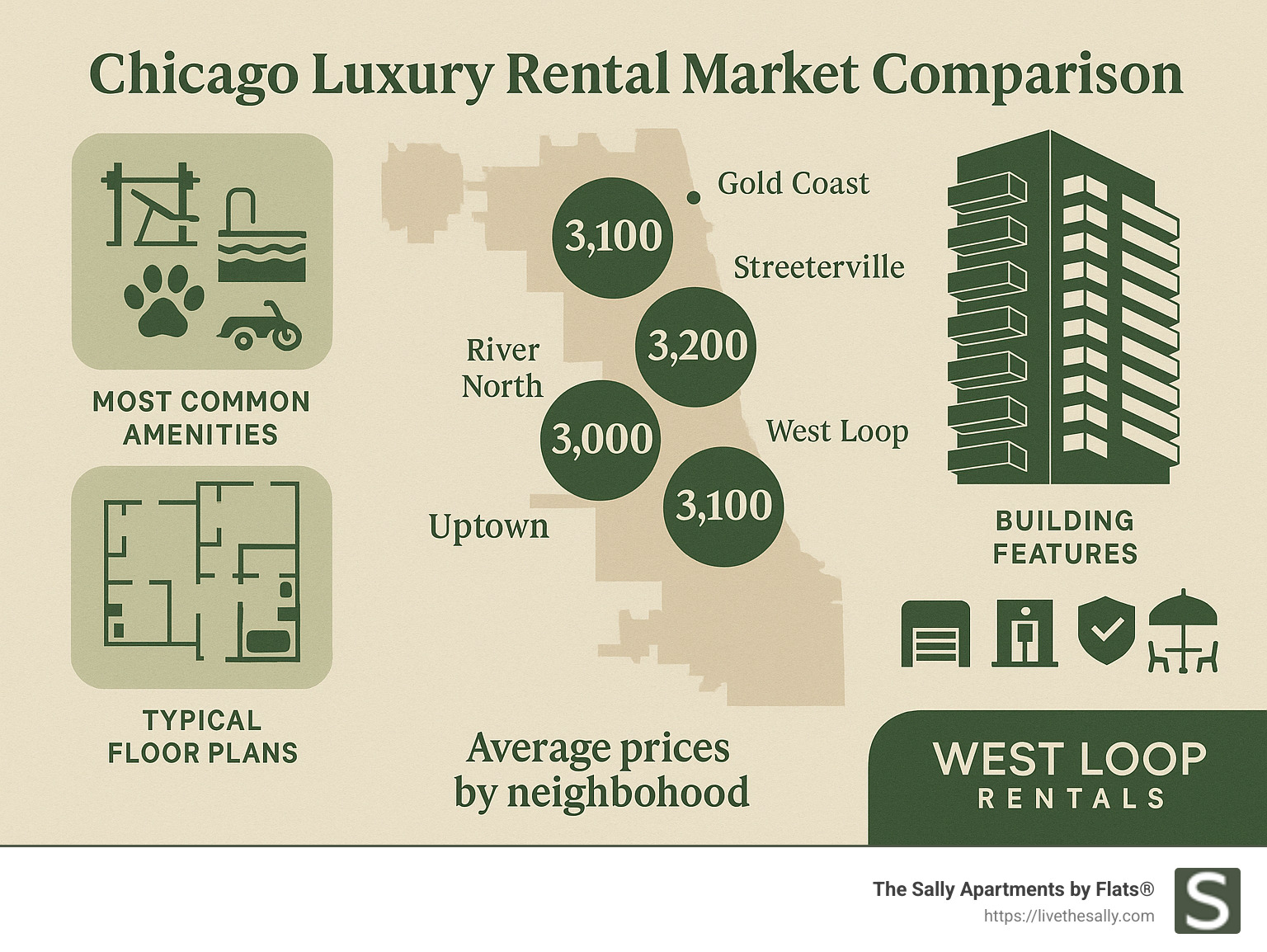 Chicago luxury rental market comparison showing amenities, average prices by neighborhood, and building features across Gold Coast, Streeterville, River North, West Loop, and Uptown areas, with callouts for most common amenities and typical floor plans - Chicago luxury rental properties infographic 