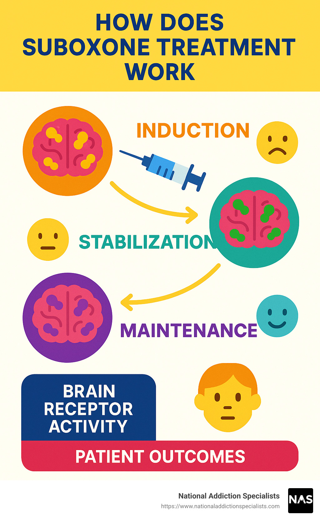 Suboxone treatment phases showing induction, stabilization, and maintenance with corresponding brain receptor activity and patient outcomes - how does suboxone treatment work infographic 