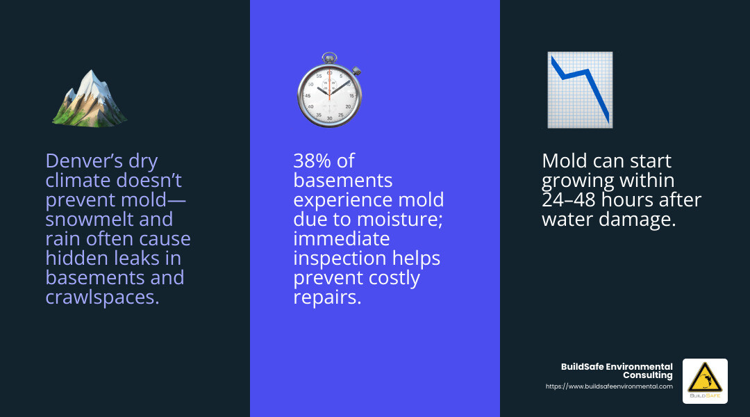Infographic: 38% of basements experience mold due to moisture. Immediate inspection after leaks prevents costly damage. - free mold inspection denver infographic 3_facts_emoji_blue
