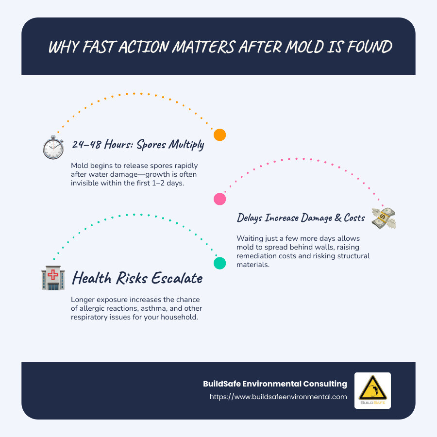 Infographic: Mold spreads rapidly after water damage; costs rise the longer you wait. Immediate action saves money and health. - free mold inspection denver infographic infographic-line-3-steps-blues-accent_colors