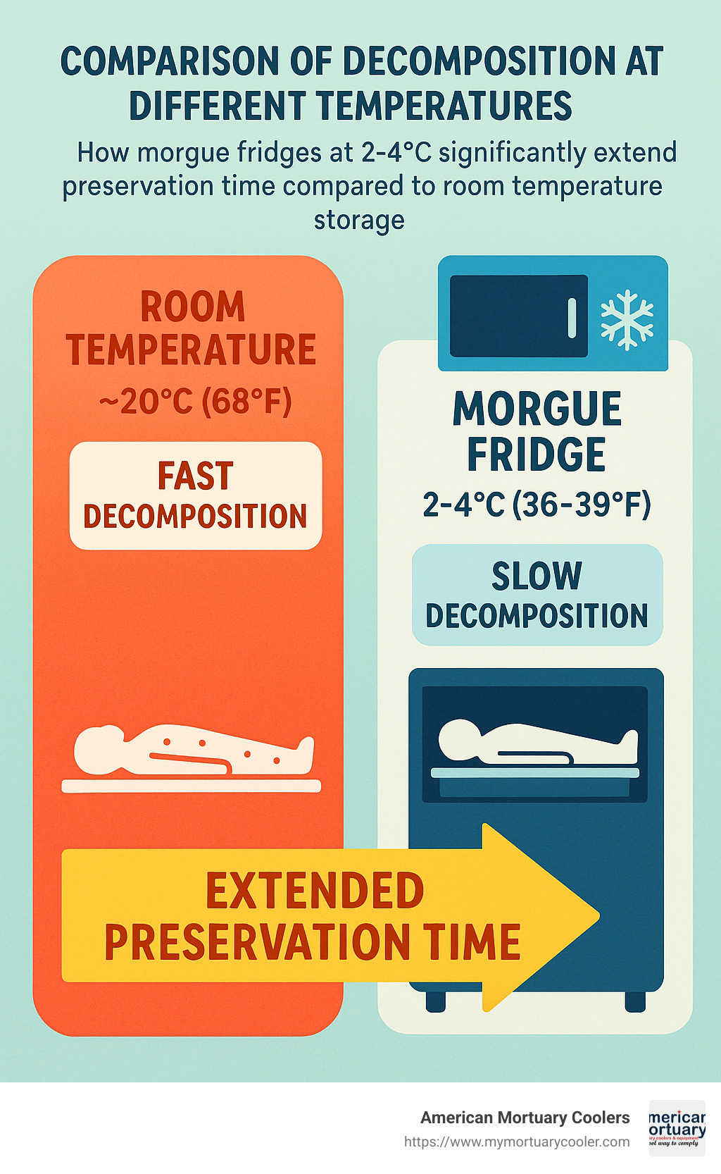 Comparison of decomposition rates at different temperatures showing how morgue fridges at 2-4°C significantly extend preservation time compared to room temperature storage - morgue fridge infographic 