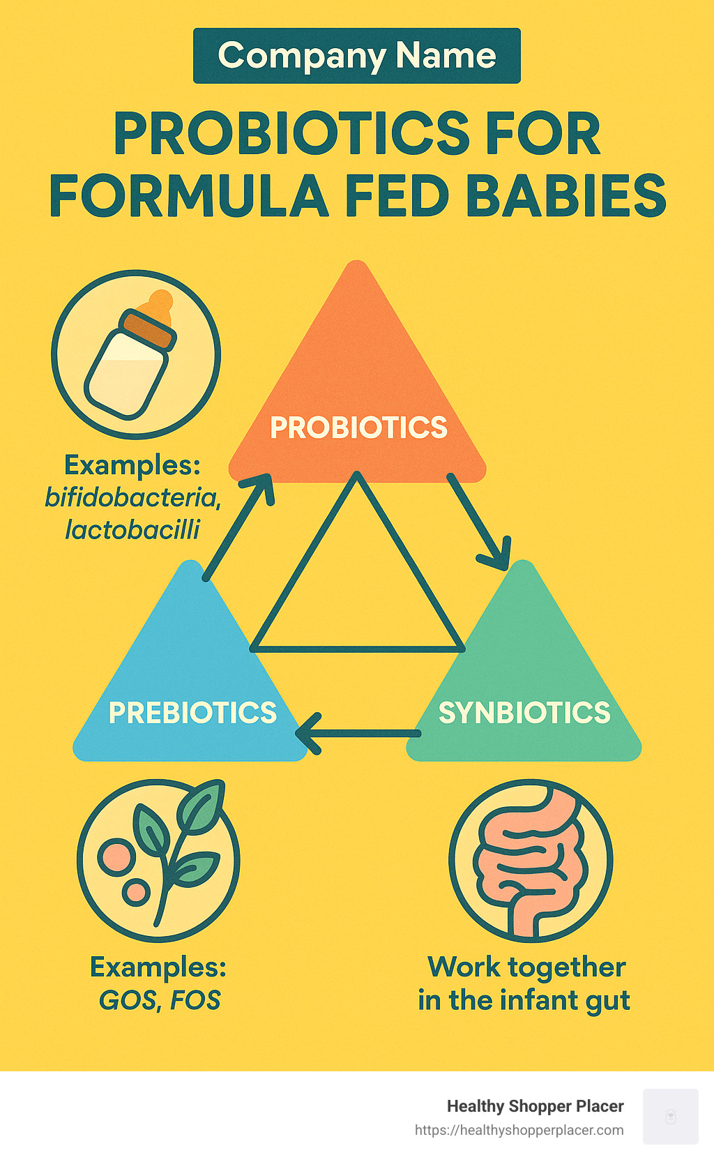 Triangle diagram showing the relationship between probiotics, prebiotics, and synbiotics, with examples of each and how they work together in the infant gut - probiotics for formula fed babies infographic 