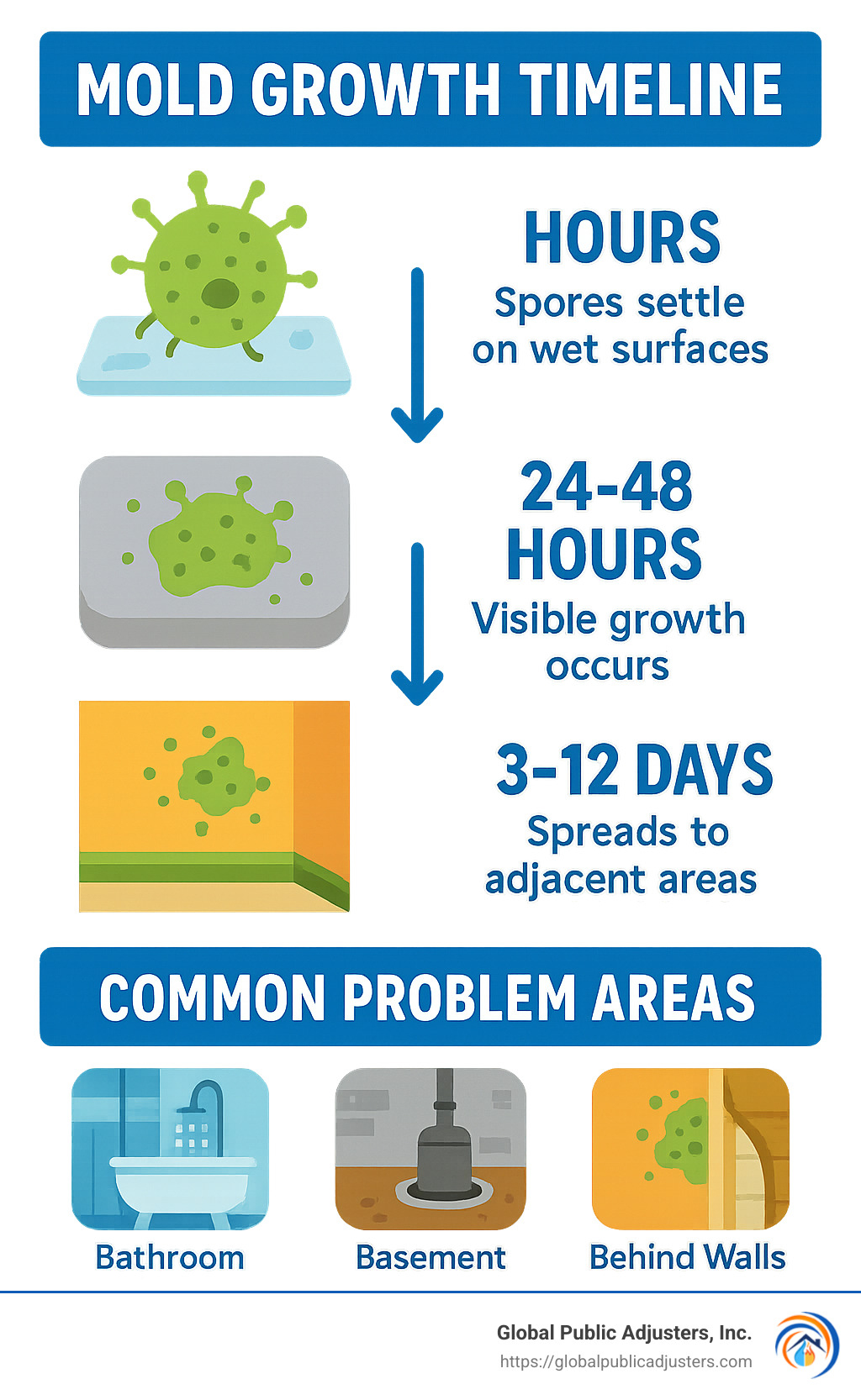 Mold growth timeline showing spores settling on wet surfaces within hours, visible growth within 24-48 hours, and spreading to adjacent areas within 3-12 days, with illustrations of common problem areas including bathrooms, basements, and behind walls - mold mitigation near me infographic 