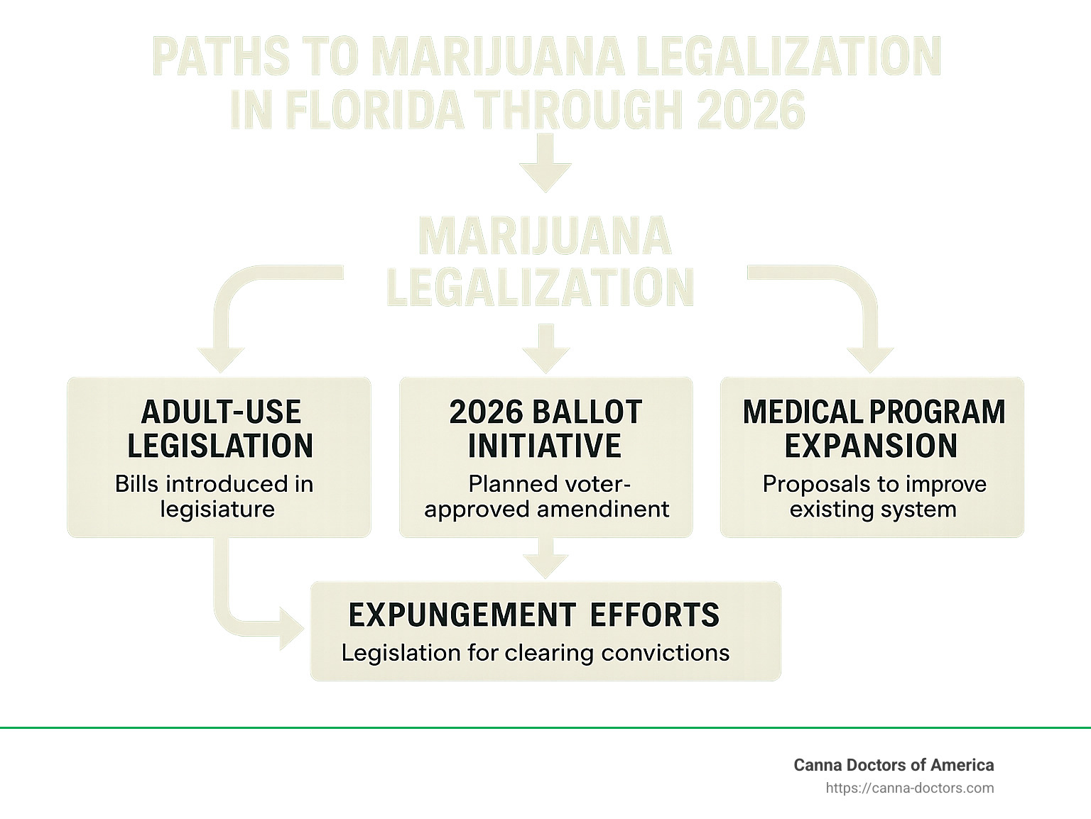 Flowchart showing potential paths to marijuana legalization in Florida through 2026 - is weed legal in florida infographic 