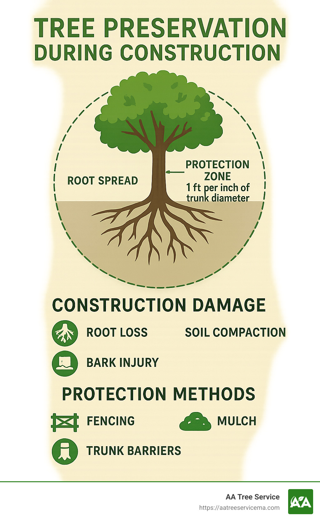 Tree preservation during construction infographic showing protected root zone calculations, construction damage types, and protection methods with a circular diagram of root spread and protection zone measurements - Tree preservation during construction infographic 