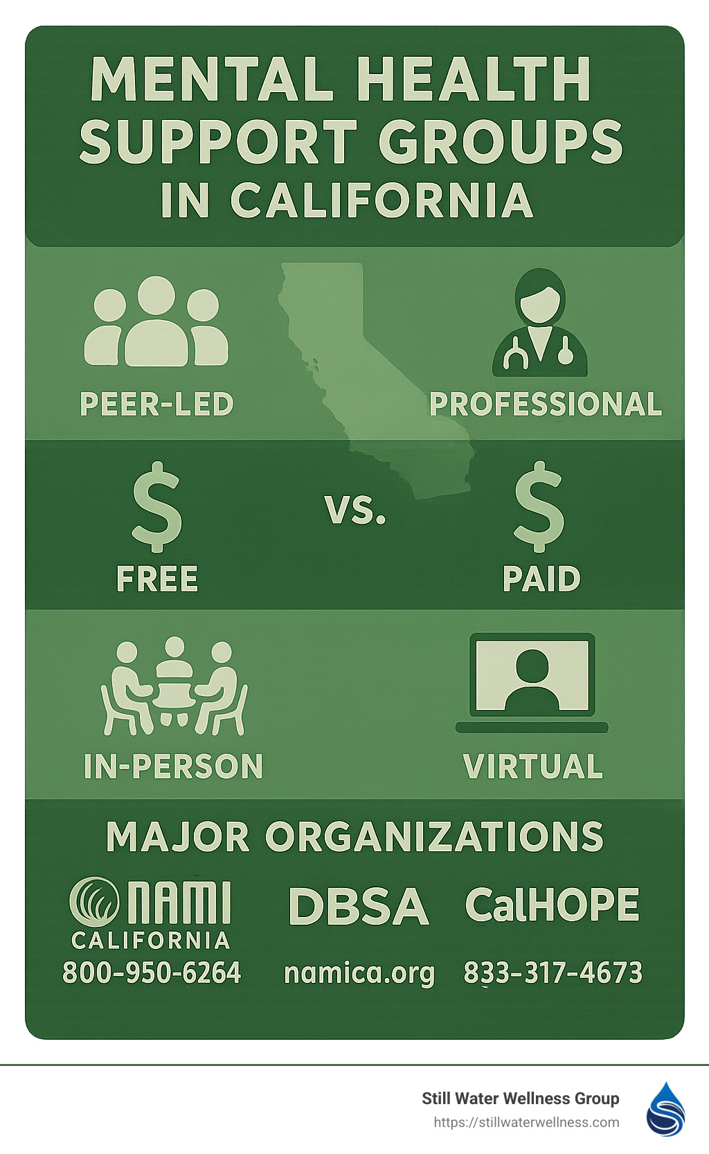 Infographic showing the mental health support group landscape in California, including peer-led vs. professional groups, free vs. paid options, in-person vs. virtual formats, and contact information for major organizations like NAMI, DBSA, and CalHOPE - mental health support groups California infographic 
