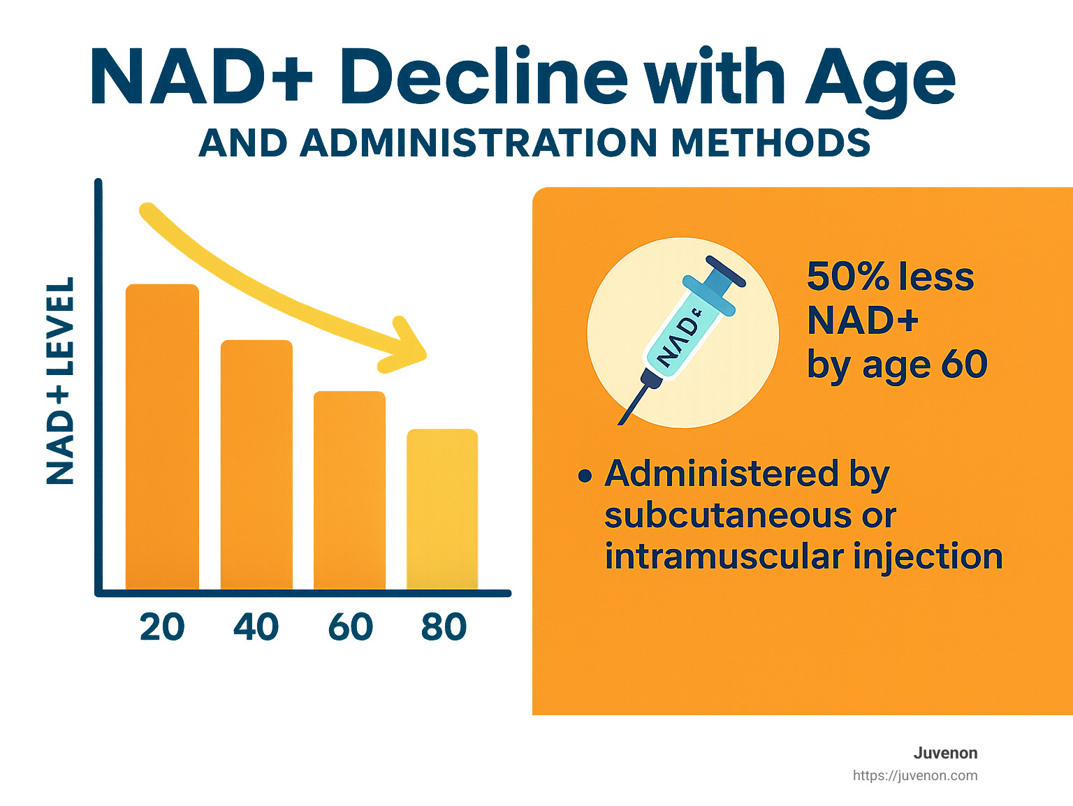 NAD+ decline with age and administration methods infographic - what are nad+ injections infographic 