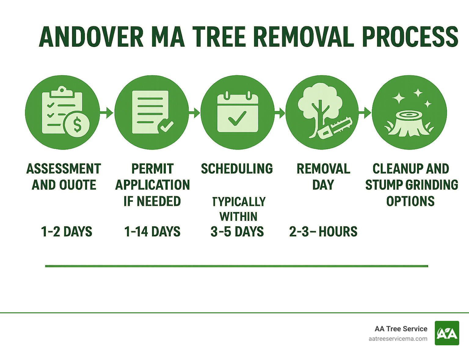 Andover MA Tree Removal Process infographic showing the 5 key steps: 1) Assessment and quote (1-2 days), 2) Permit application if needed (1-14 days), 3) Scheduling (typically within 3-5 days), 4) Removal day (2-8+ hours), and 5) Cleanup and stump grinding options - Andover MA Tree Removal infographic