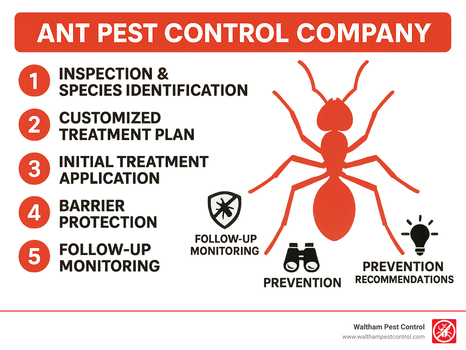 Infographic showing the professional ant control process: 1) Inspection & Species Identification 2) Customized Treatment Plan 3) Initial Treatment Application 4) Barrier Protection 5) Follow-up Monitoring 6) Prevention Recommendations - ant pest control company infographic 