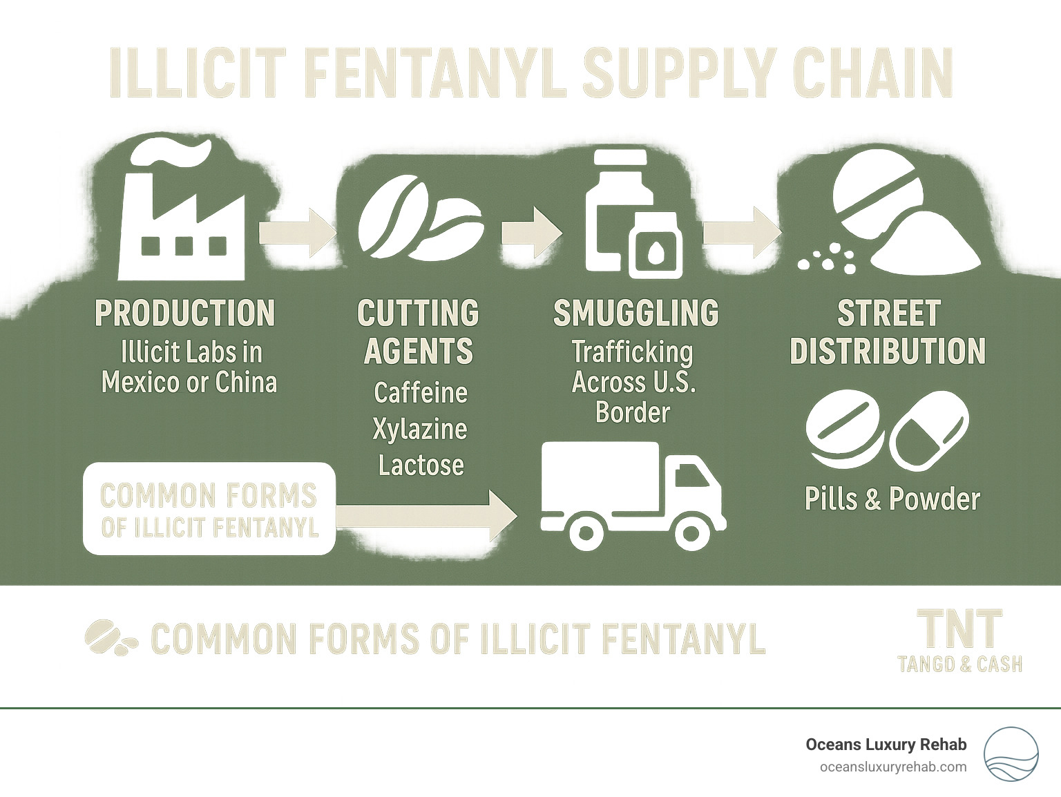 Diagram showing illicit fentanyl supply chain routes from production to street distribution, including common cutting agents and forms - fentanyl overdose infographic 