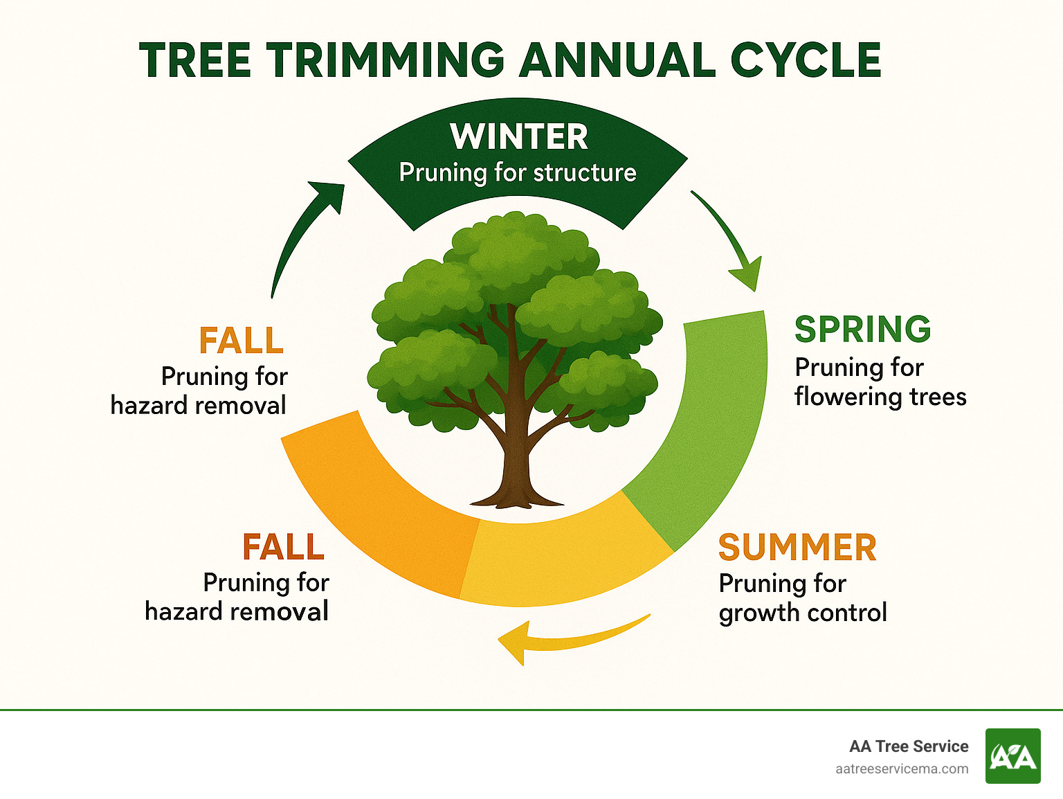 Tree trimming annual cycle showing best times for different pruning activities by season, highlighting dormant winter pruning for structure, spring pruning for flowering trees, summer pruning for growth control, and fall pruning for hazard removal - tree trimming services infographic