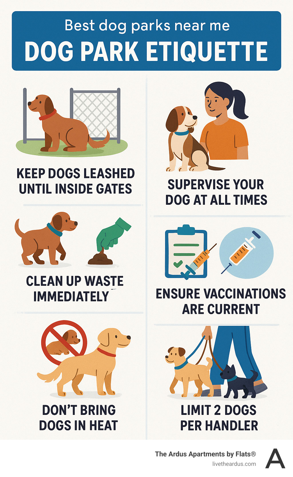 Dog park etiquette infographic showing rules like: keep dogs leashed until inside gates, supervise your dog at all times, clean up waste immediately, ensure vaccinations are current, don't bring dogs in heat, and limit 2 dogs per handler - Best dog parks near me infographic 