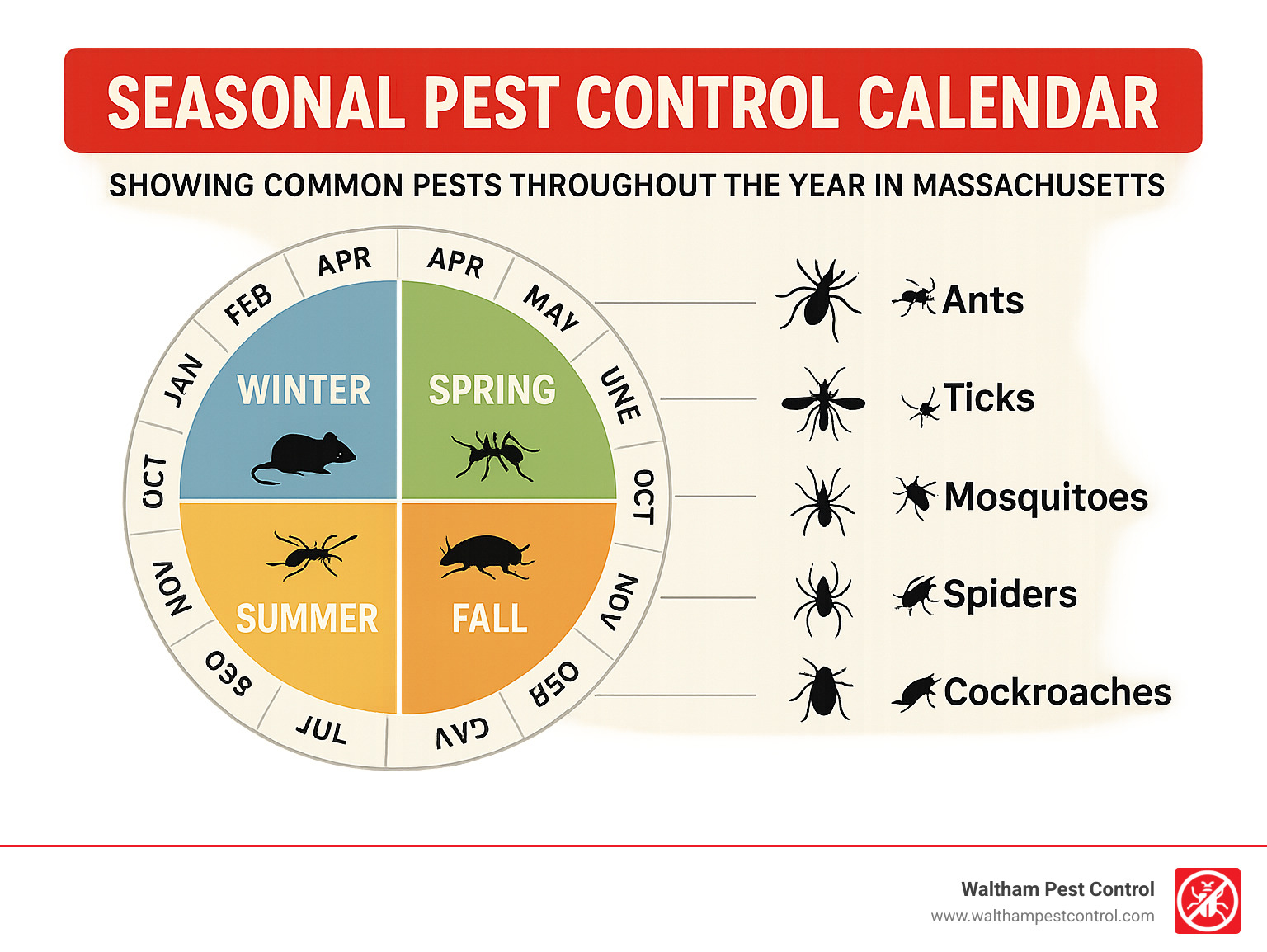 Seasonal pest control calendar showing common pests throughout the year in Massachusetts - Home Pest Service Waltham MA infographic