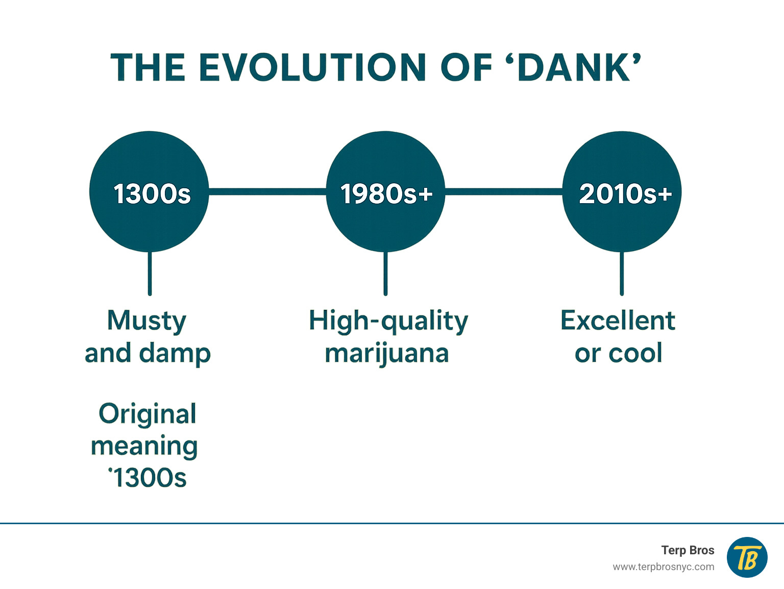 Timeline showing the evolution of the word dank from 1300s cellar descriptions through cannabis culture to modern meme usage - dank definition infographic 
