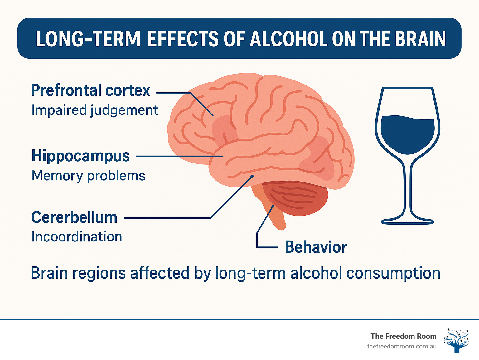 Brain regions affected by long-term alcohol consumption showing hippocampus, prefrontal cortex, cerebellum damage with associated cognitive effects - long term effects of alcohol on the brain infographic 