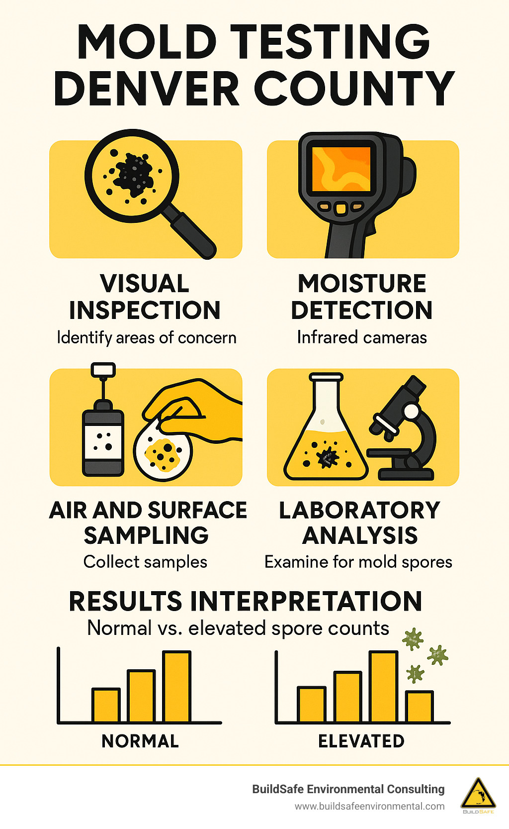 Detailed infographic showing the mold testing process in Denver County including visual inspection, moisture detection with infrared cameras, air and surface sampling methods, laboratory analysis procedures, and result interpretation with normal vs. liftd spore counts - mold testing denver county infographic