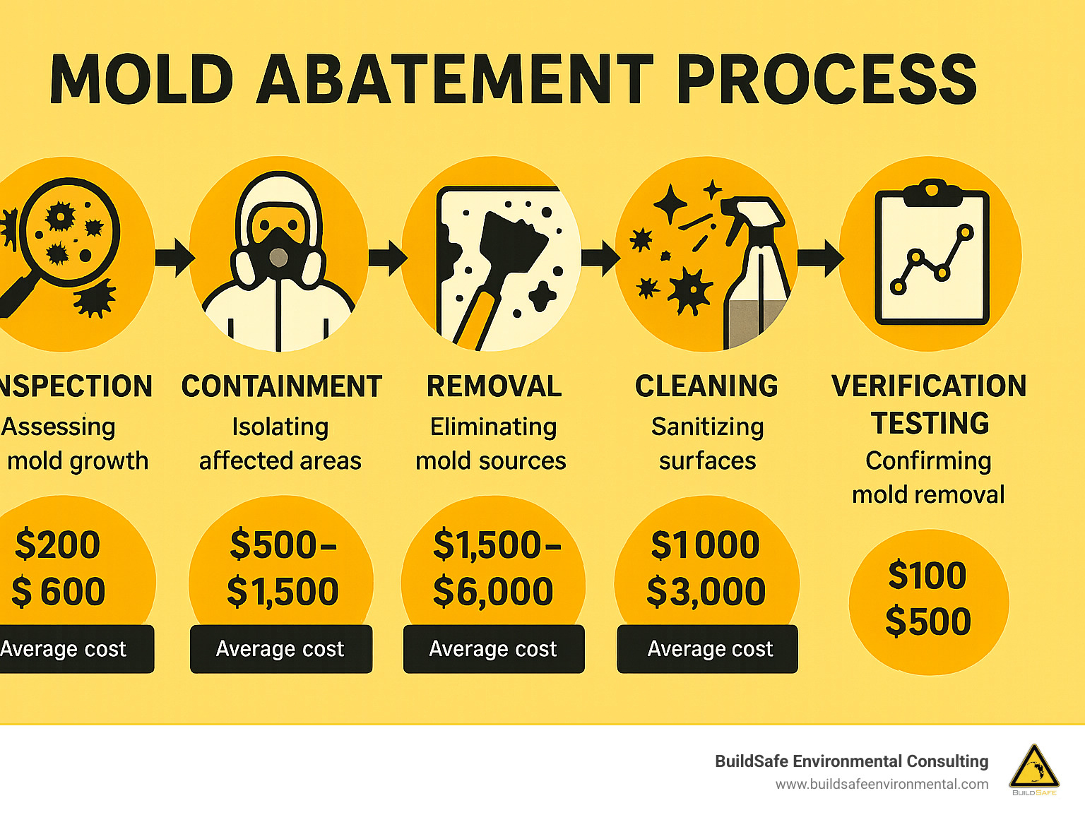 Detailed infographic showing the mold abatement process including inspection, containment, removal, cleaning, and verification testing with average costs for each service type - mold abatement company infographic 