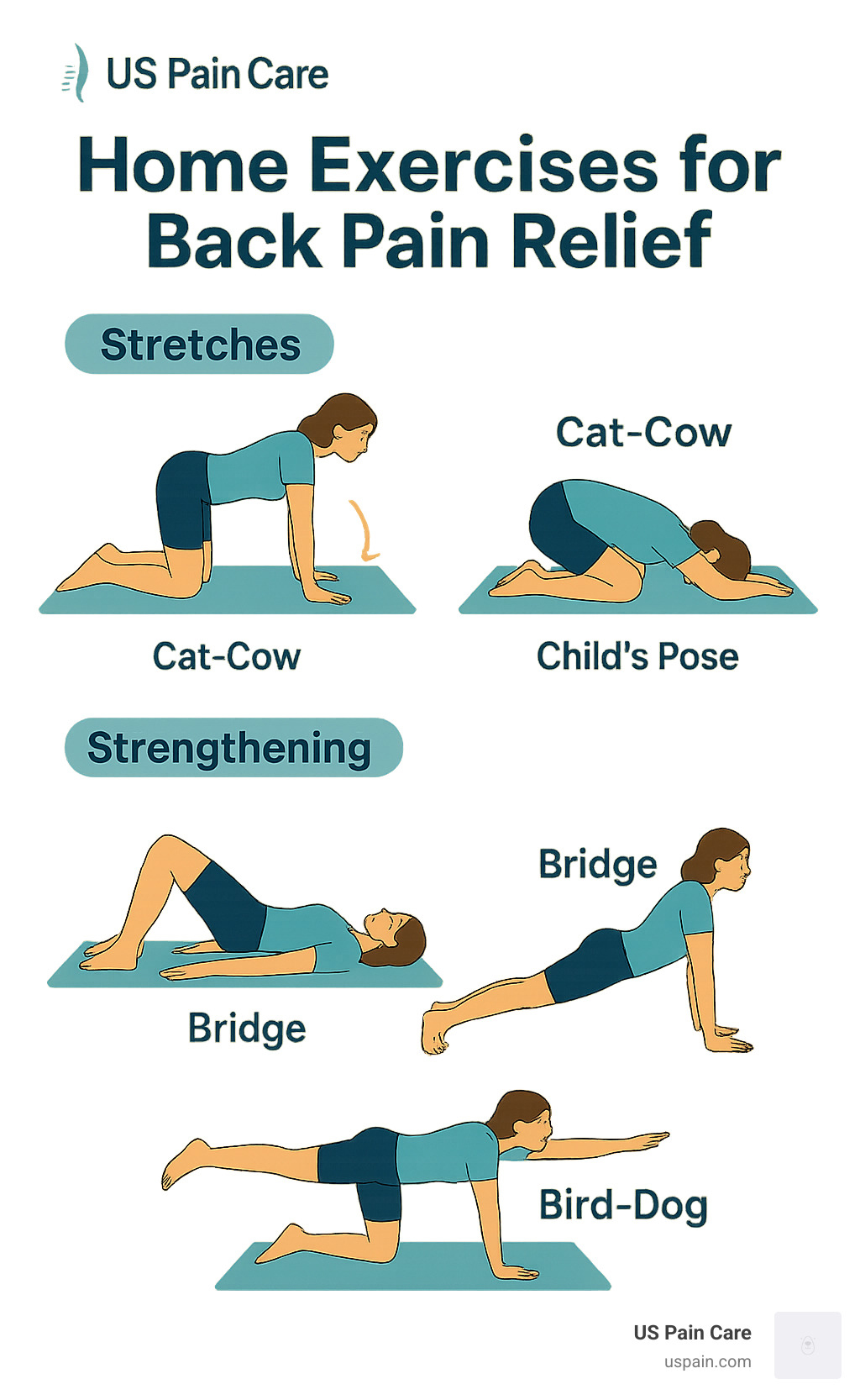 Home exercises for back pain relief showing stretches and strengthening movements with proper form and technique - back pain chiropractic adjustment infographic 