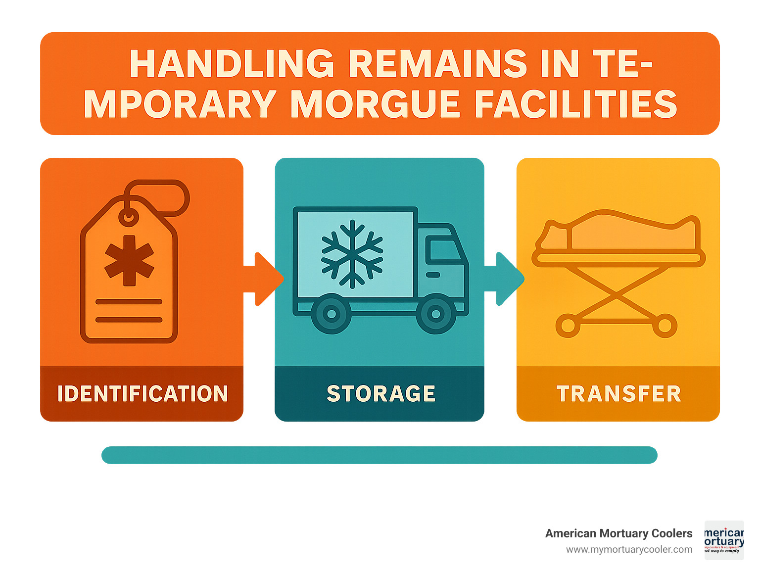 Infographic explaining the workflow for handling remains in temporary morgue facilities, including identification, storage, and transfer protocols - freezer trucks used as morgues infographic 