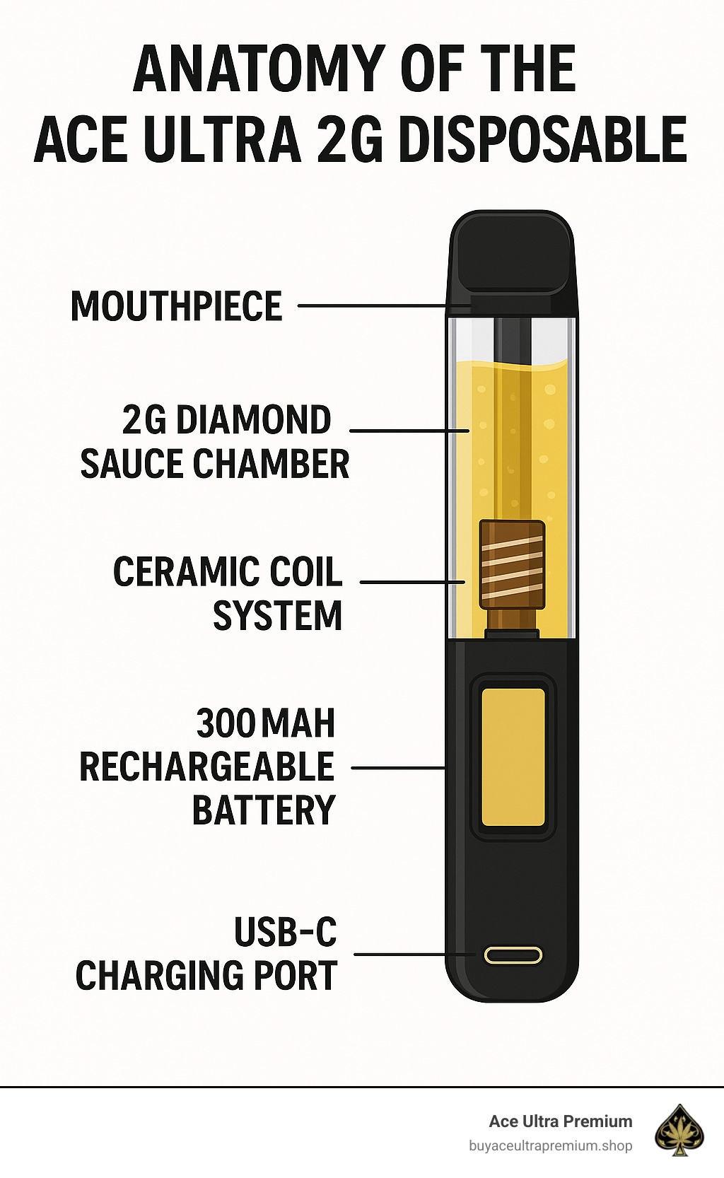 Anatomy of the Ace Ultra 2g Disposable showing the mouthpiece, 2g Diamond Sauce chamber, ceramic coil system, 300mAh rechargeable battery, and USB-C charging port - ace ultra 2g disposable infographic 