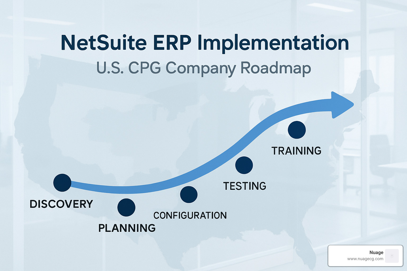 NetSuite implementation project roadmap - NetSuite for CPG companies