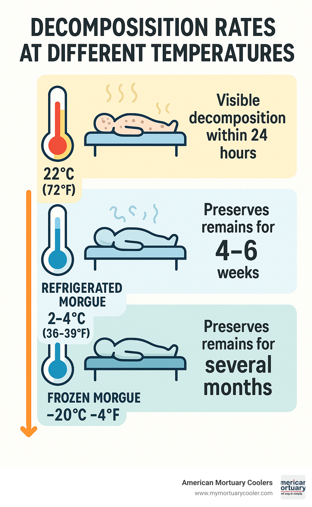 Timeline showing decomposition rates at different temperatures, with room temperature (22°C) showing visible decomposition within 24 hours, refrigerated morgue (2-4°C) preserving remains for 4-6 weeks, and frozen morgue (-20°C) preserving remains for several months - refrigerated morgue infographic 