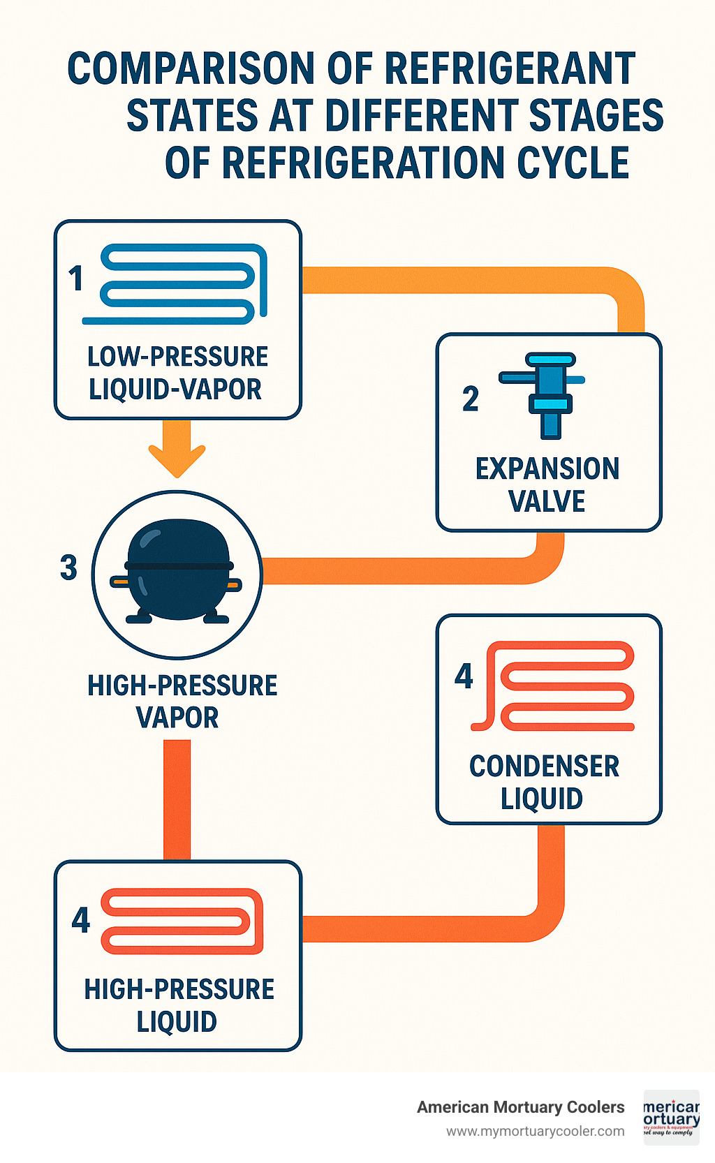 Comparison of refrigerant states at different stages of refrigeration cycle - anatomy of refrigerator infographic 