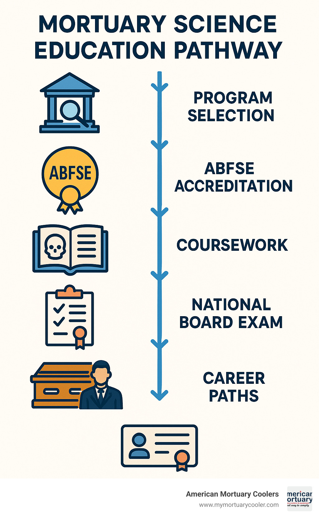 Mortuary Science Education Pathway showing the steps from program selection through licensure, including ABFSE accreditation, coursework, National Board Exam, state licensing, and career paths - mortuary science program near me infographic 
