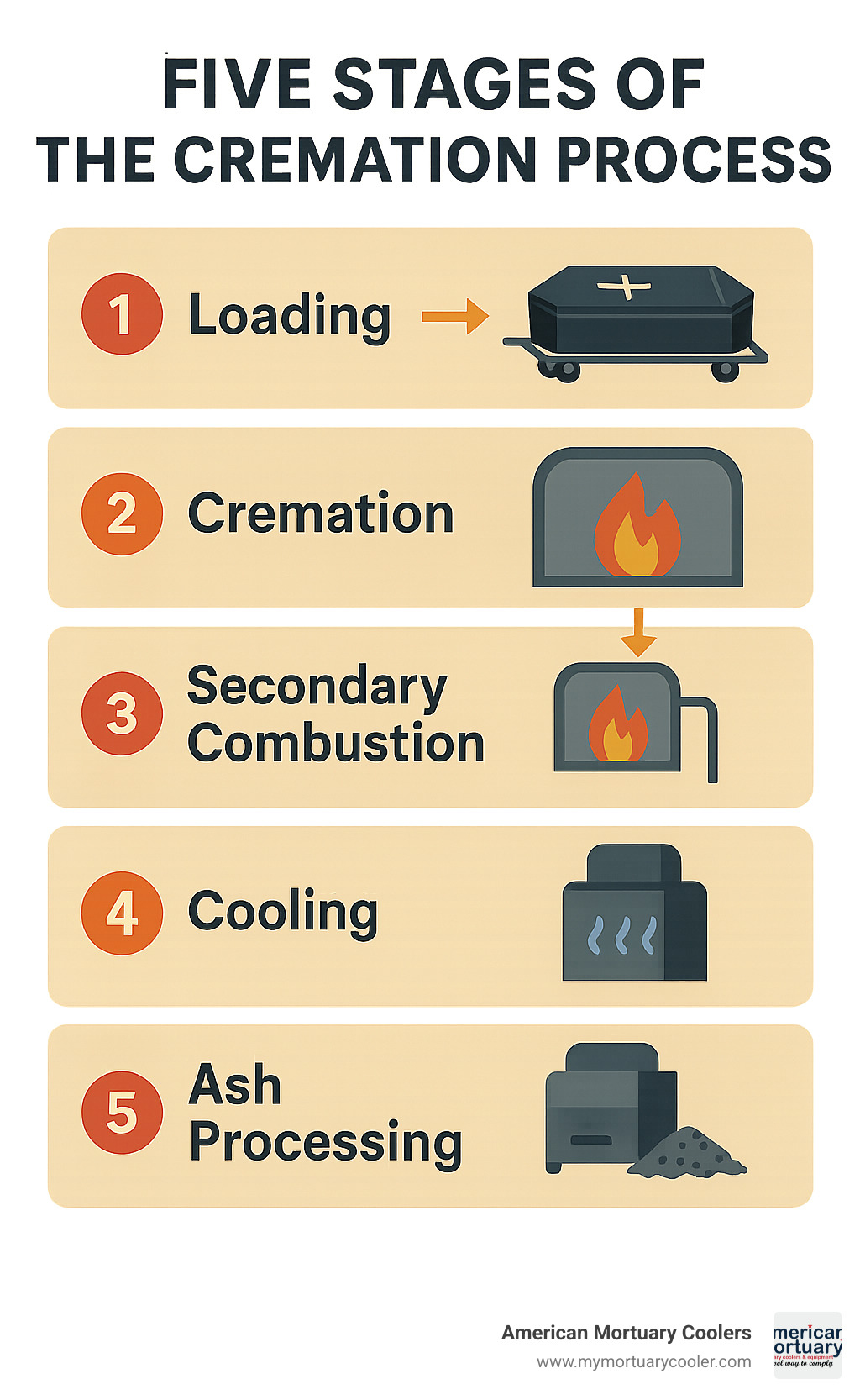 Five stages of the cremation process from loading to ash processing - cremation machine name infographic 